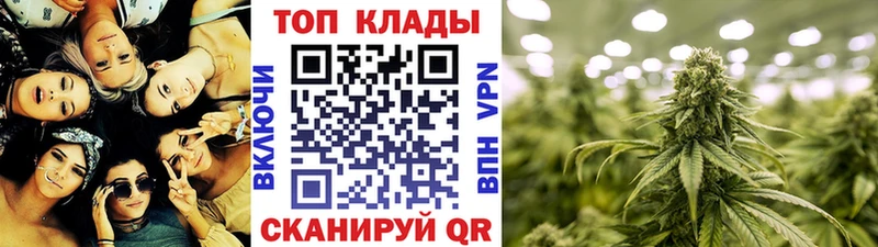 Как найти наркотики Дальнегорск Конопля  Cocaine  APVP  Мефедрон  Псилоцибиновые грибы  ГАШ 