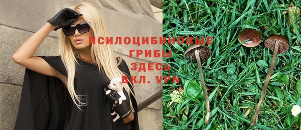 марки nbome Богородицк