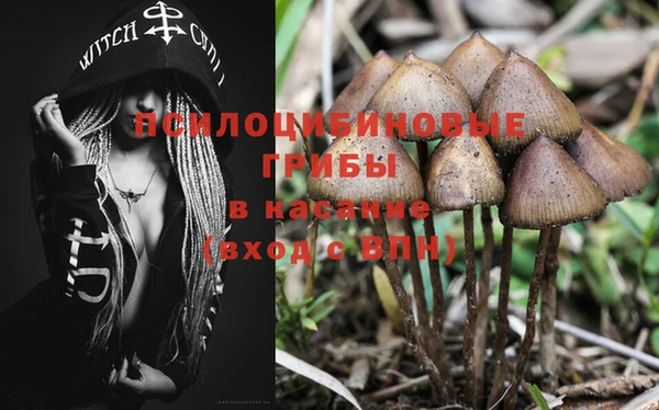 марки nbome Богородицк