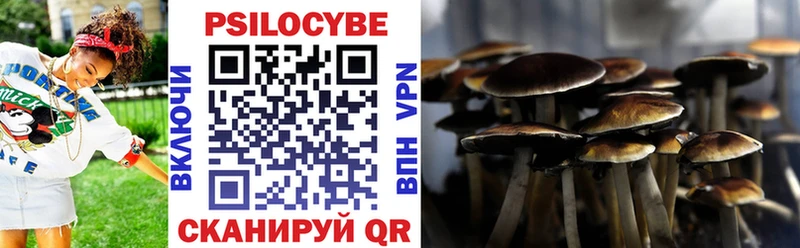 Псилоцибиновые грибы Psilocybe  дарнет шоп  Дальнегорск 
